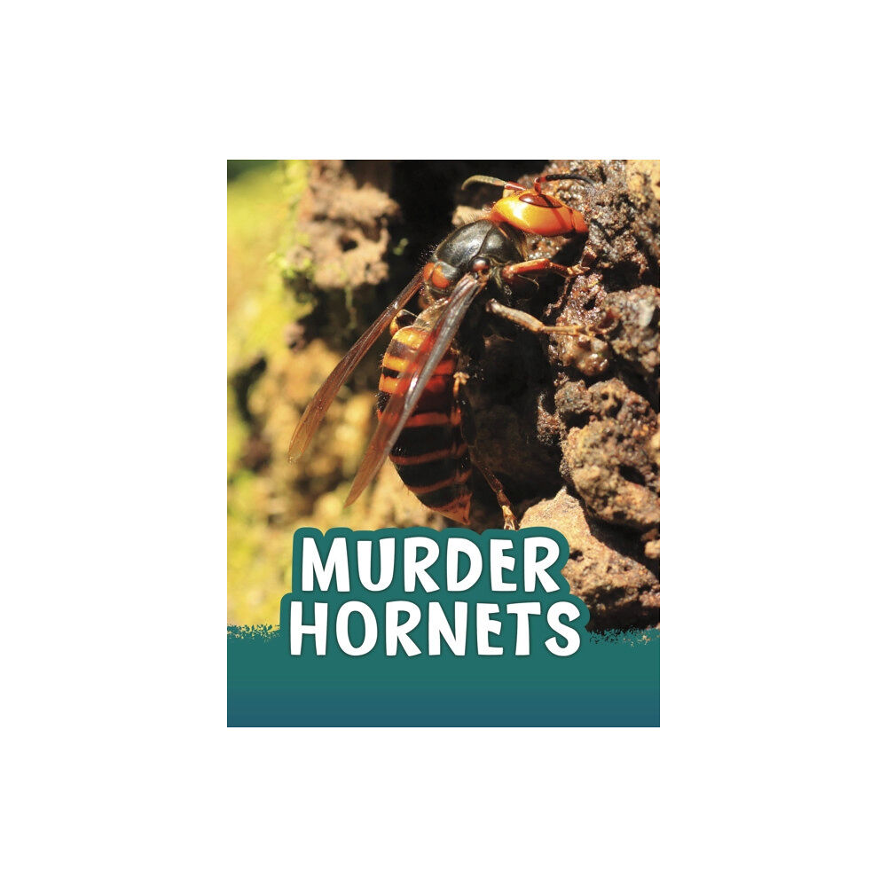 Capstone Global Library Ltd Murder Hornets (häftad, eng)