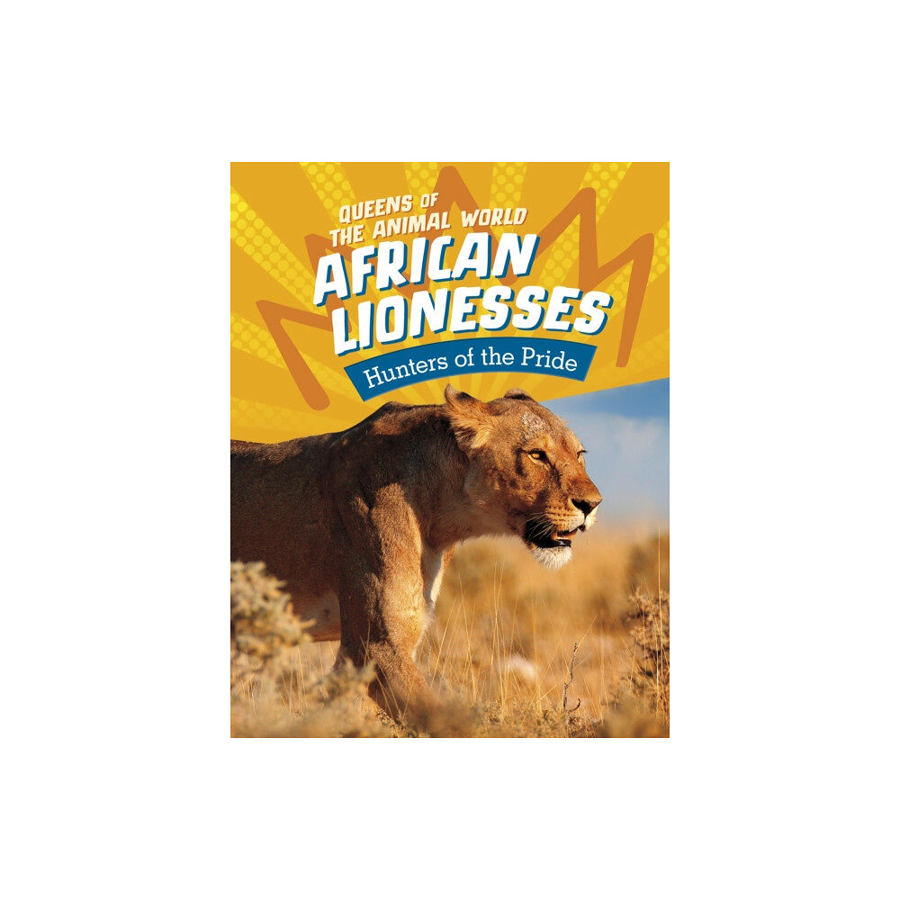 Capstone Global Library Ltd African Lionesses (häftad, eng)