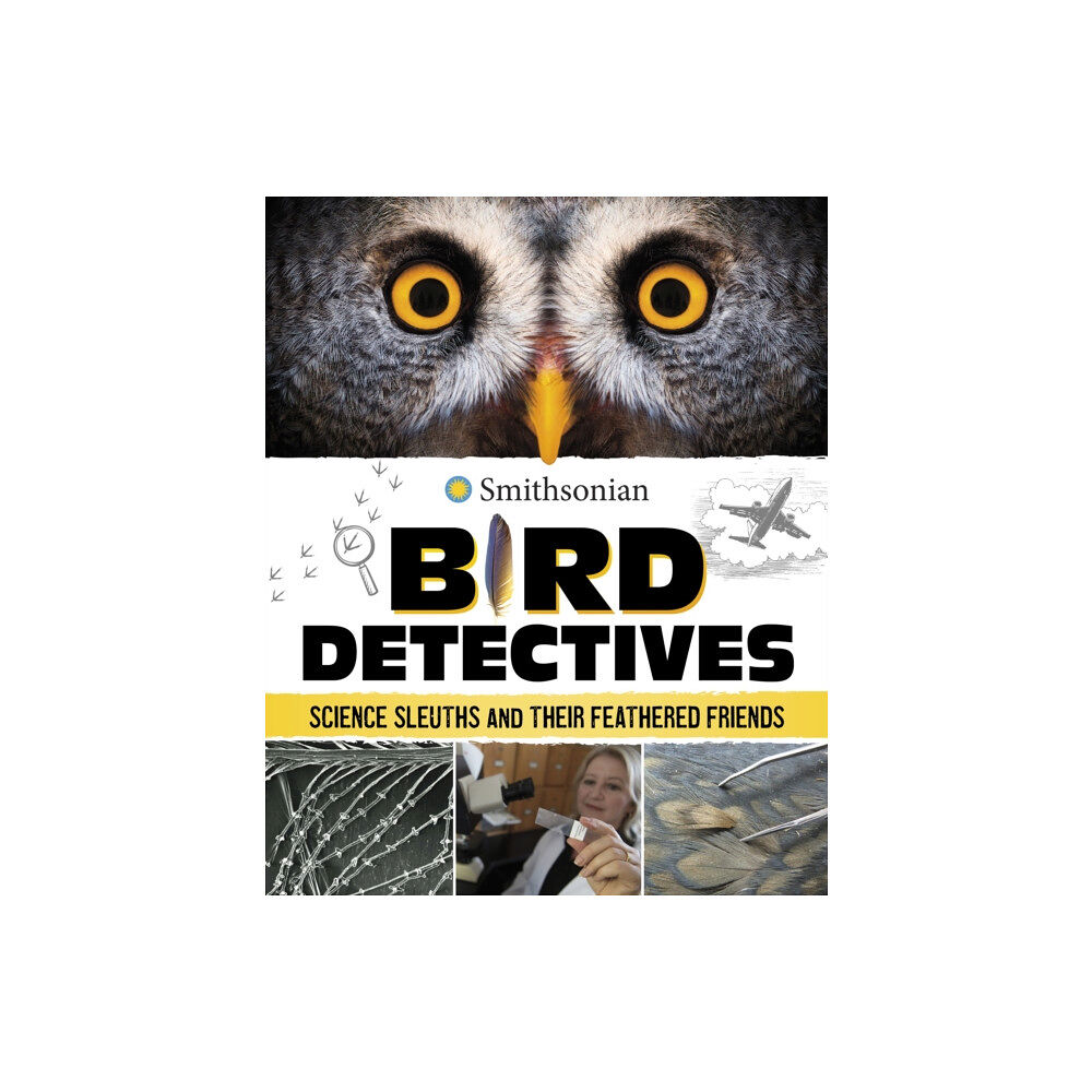 Capstone Global Library Ltd Bird Detectives (inbunden, eng)