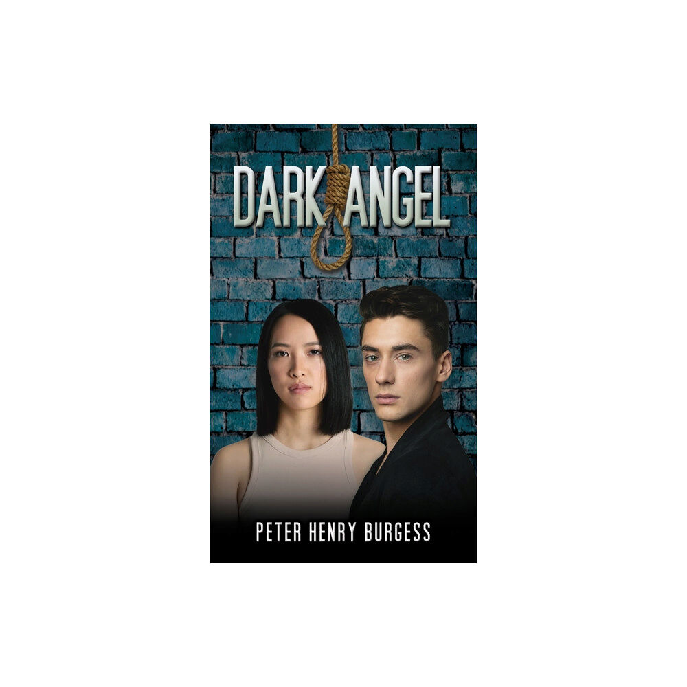Austin Macauley Publishers Dark Angel (häftad, eng)