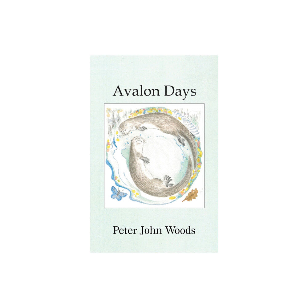 Austin Macauley Publishers Avalon Days (häftad, eng)