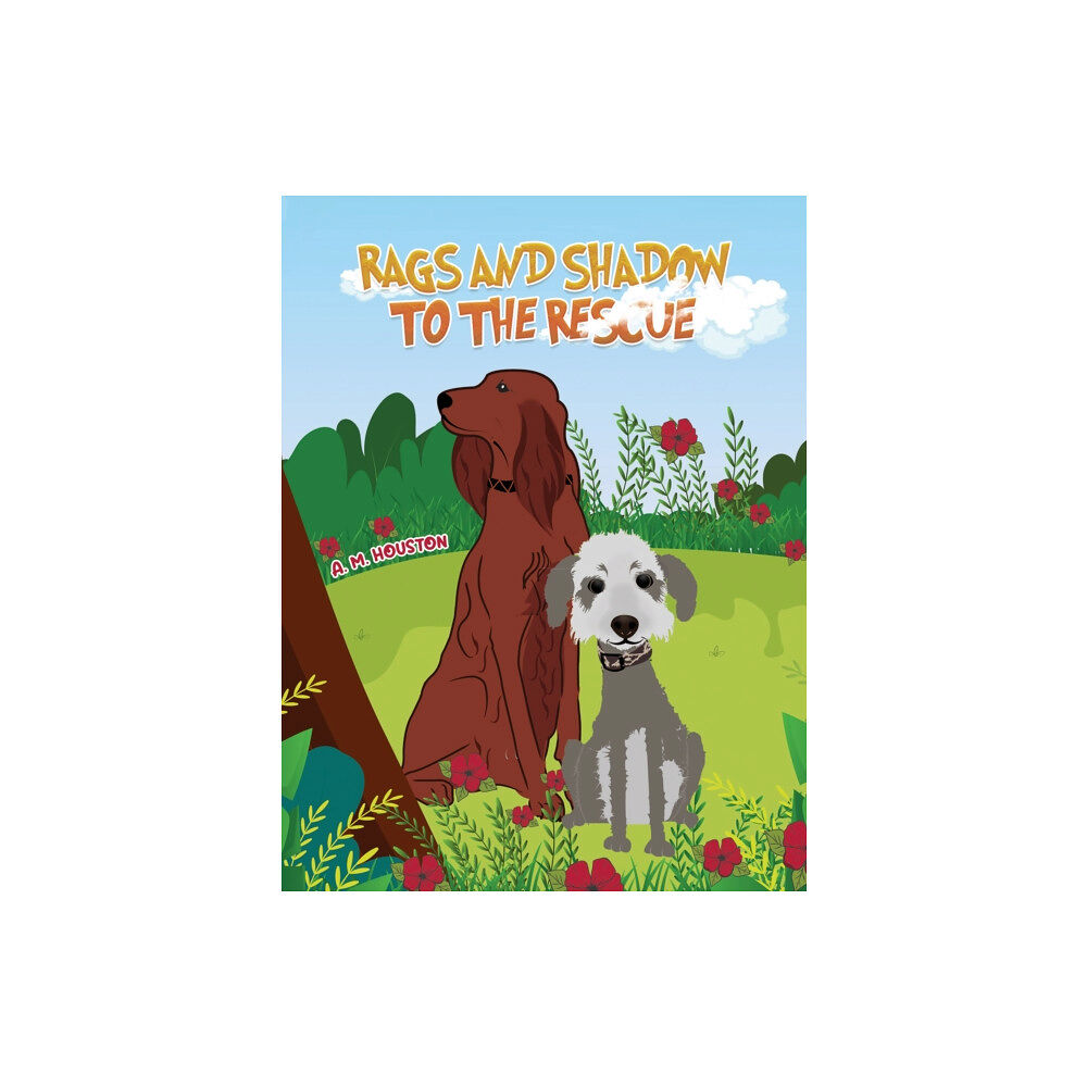 Austin Macauley Publishers Rags and Shadow to the Rescue (häftad, eng)