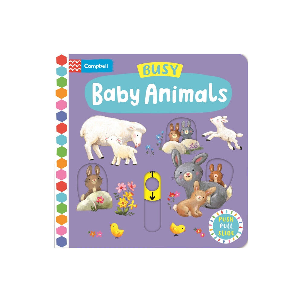 Pan Macmillan Busy Baby Animals (bok, board book, eng)