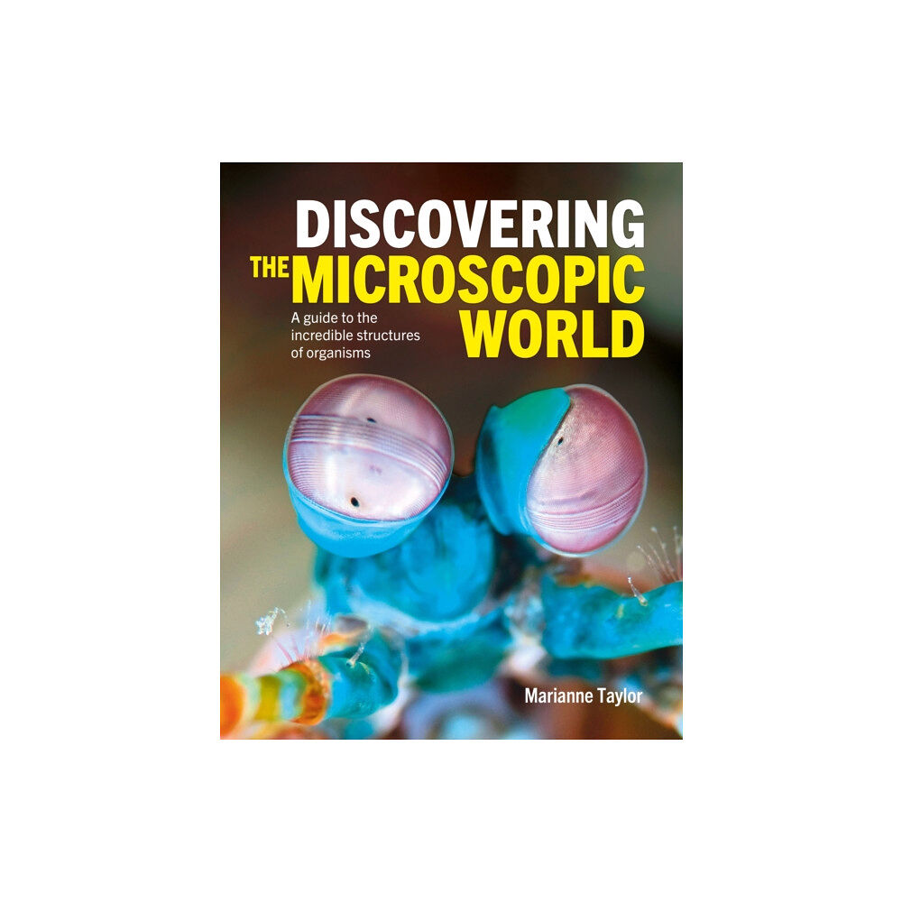 Arcturus publishing ltd Discovering the Microscopic World (inbunden, eng)