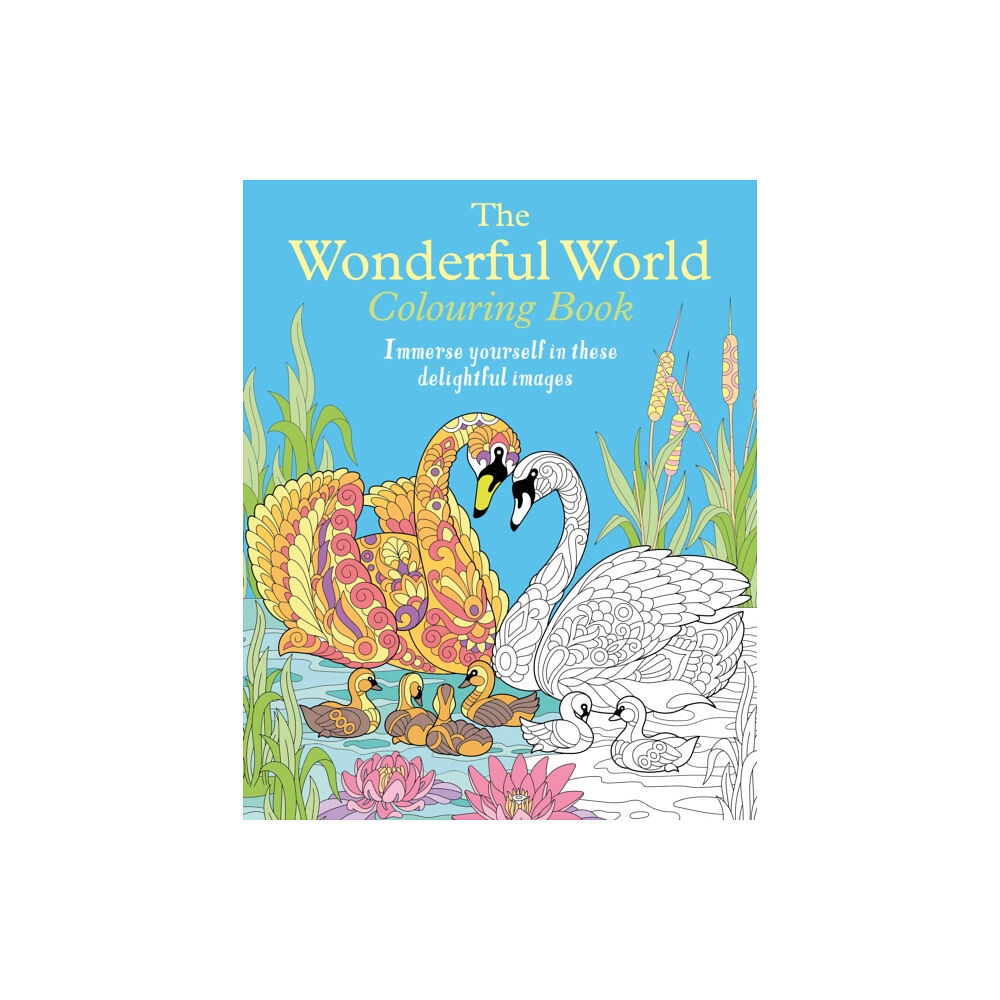 Arcturus publishing ltd The Wonderful World Colouring Book (häftad, eng)