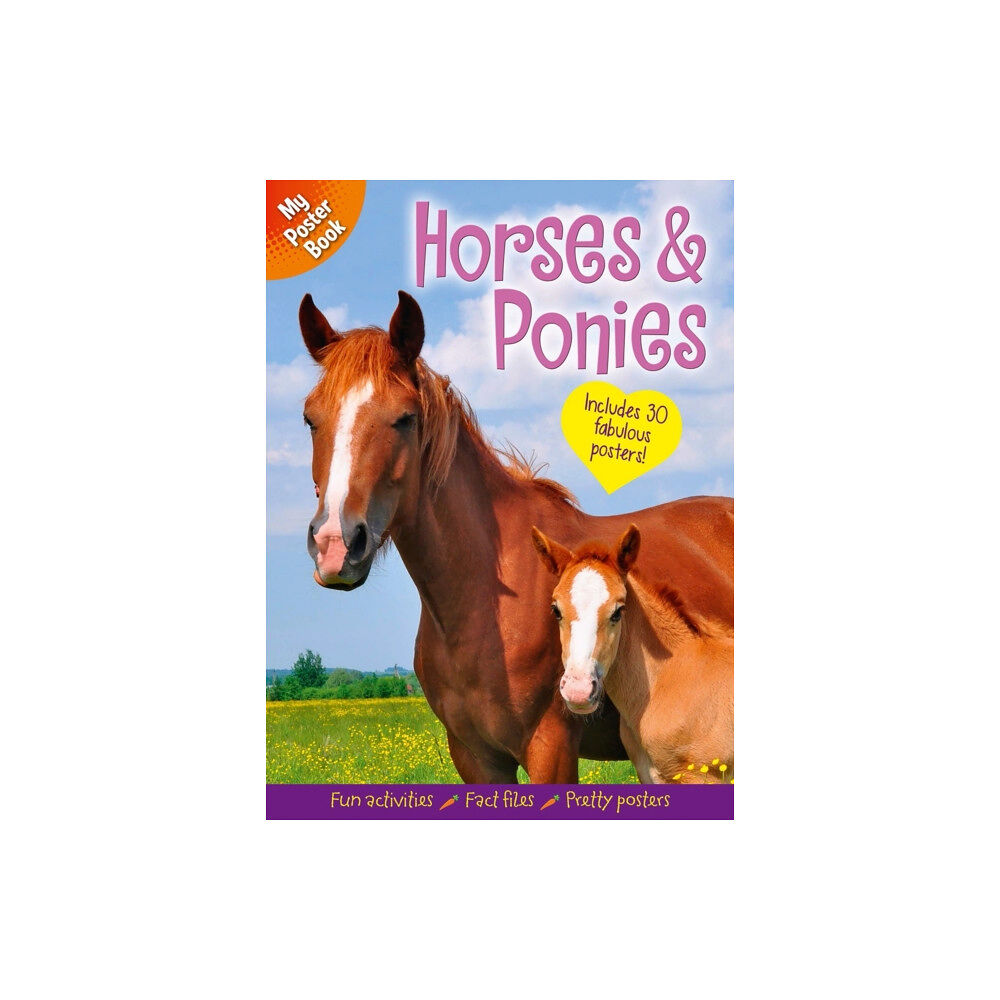 Arcturus publishing ltd My Poster Book: Horses & Ponies (häftad, eng)