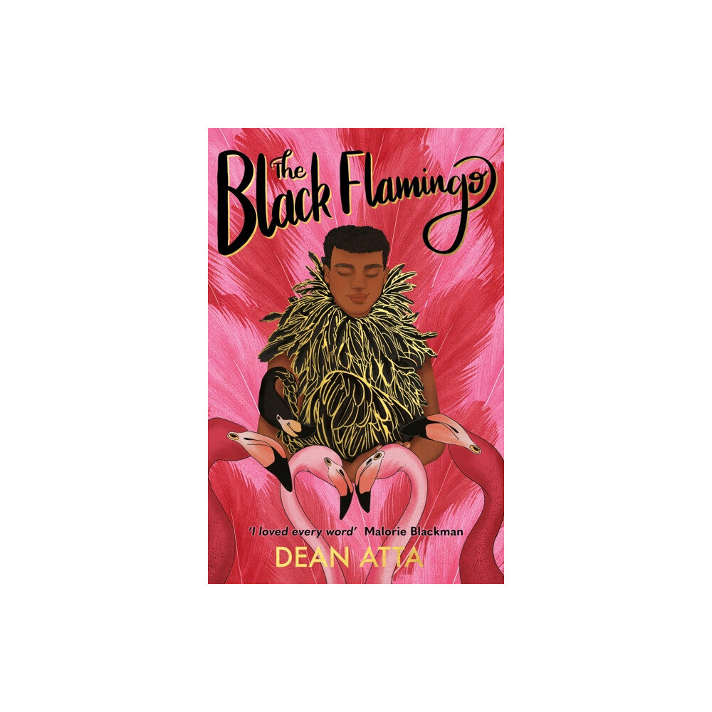 Hachette Children's Group The Black Flamingo (häftad, eng)