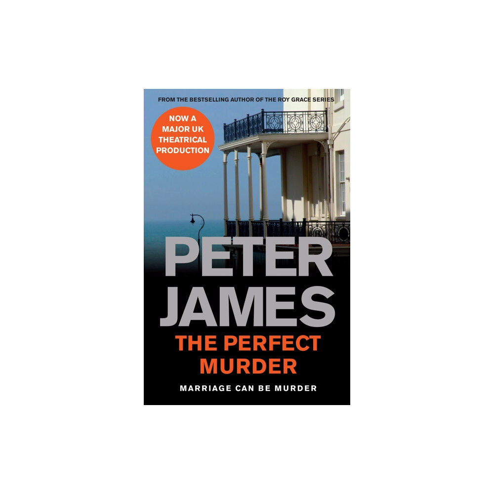 Pan Macmillan The Perfect Murder (häftad, eng)