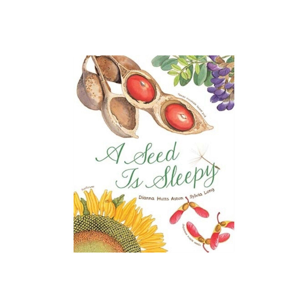 Chronicle Books A Seed Is Sleepy (häftad, eng)