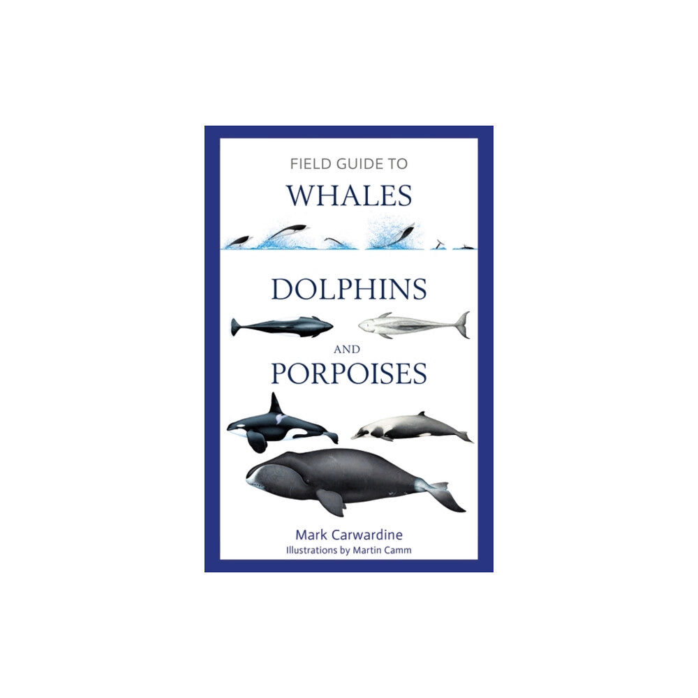 Bloomsbury Publishing PLC Field Guide to Whales, Dolphins and Porpoises (häftad, eng)