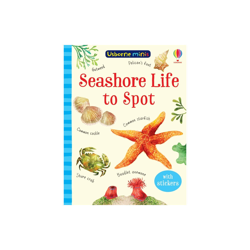 Usborne Publishing Ltd Seashore Life to Spot (häftad, eng)