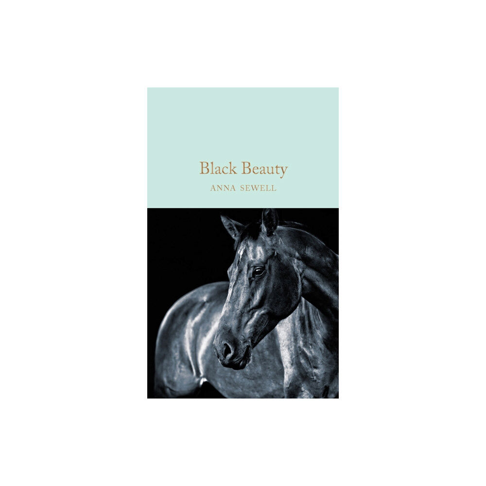 Pan Macmillan Black Beauty (inbunden, eng)