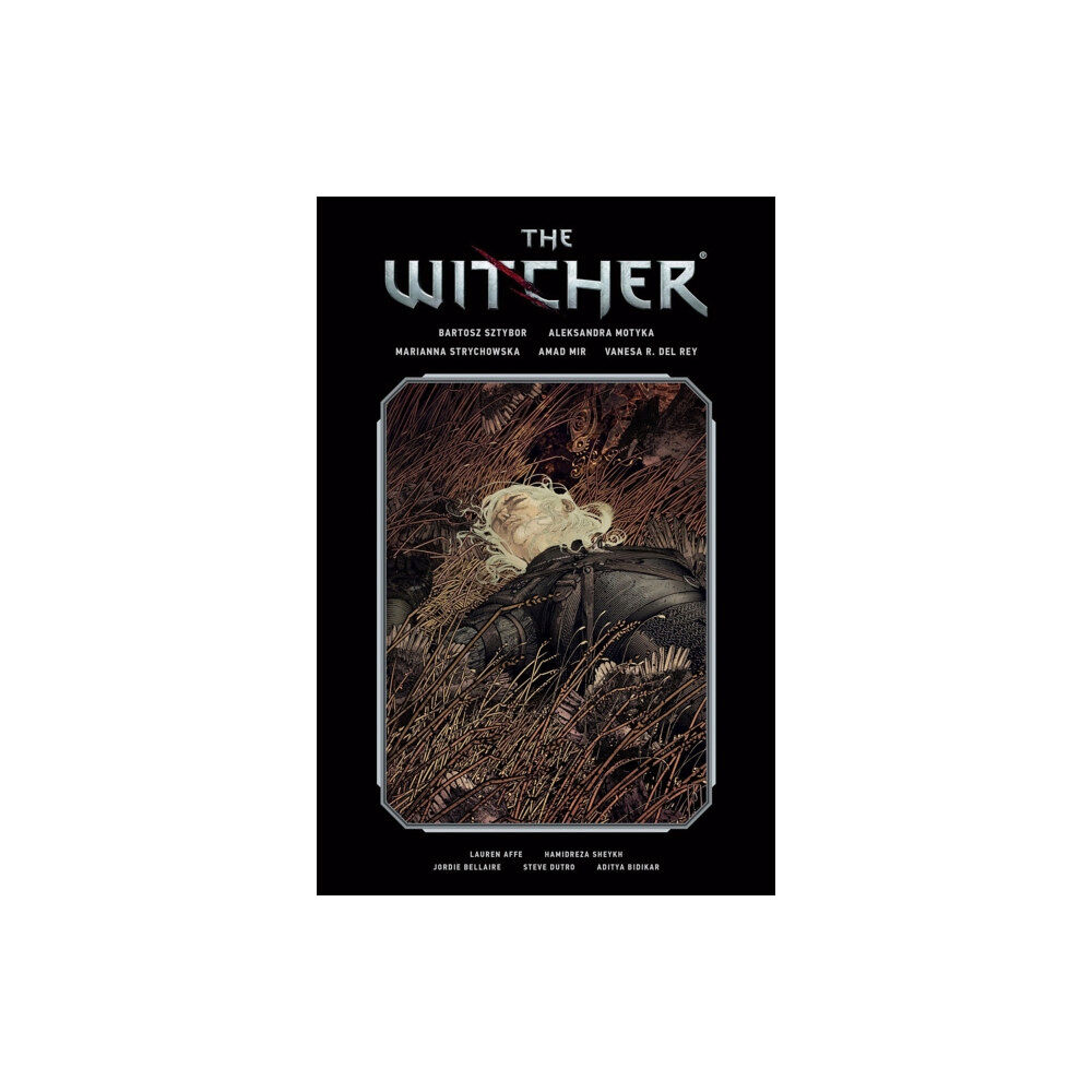 Dark Horse Comics,U.S. The Witcher Library Edition Volume 2 (inbunden, eng)