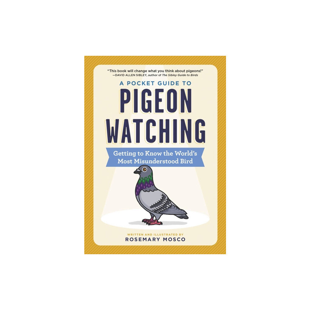 Workman Publishing A Pocket Guide to Pigeon Watching (häftad, eng)