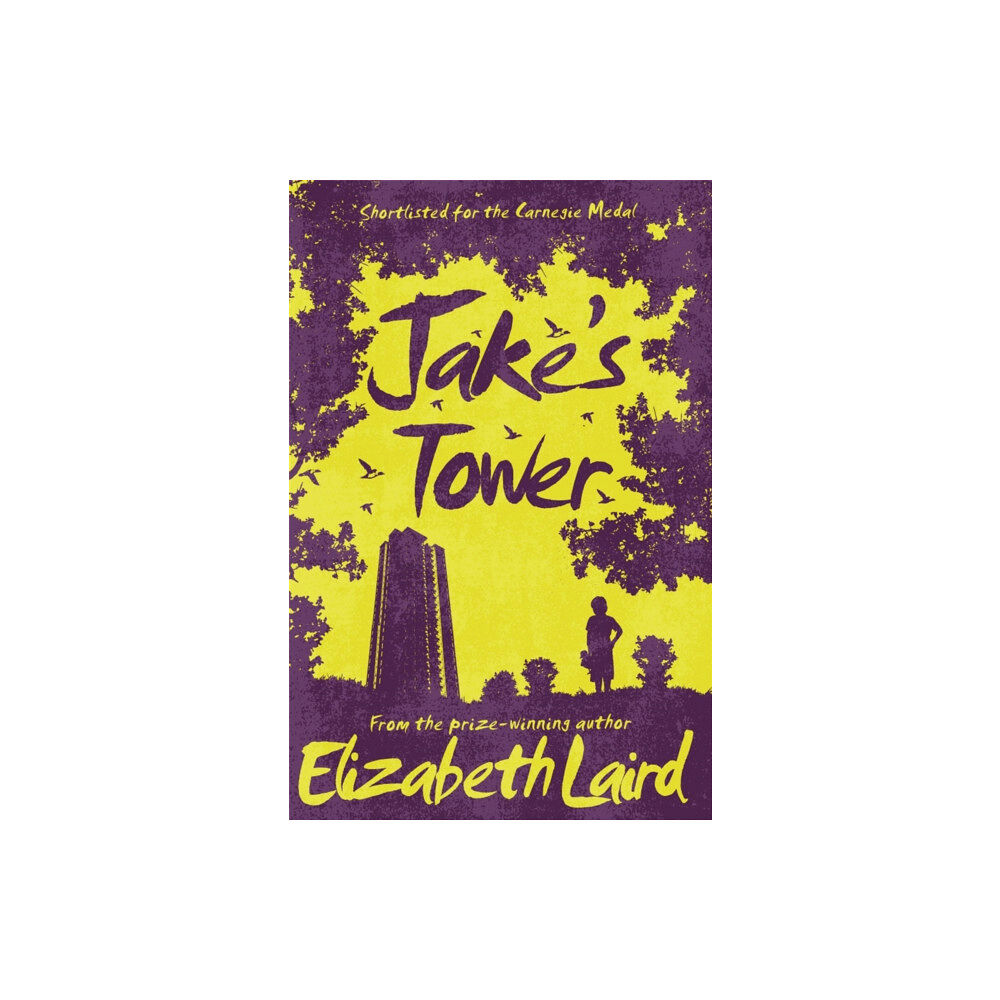 Pan Macmillan Jake's Tower (häftad, eng)