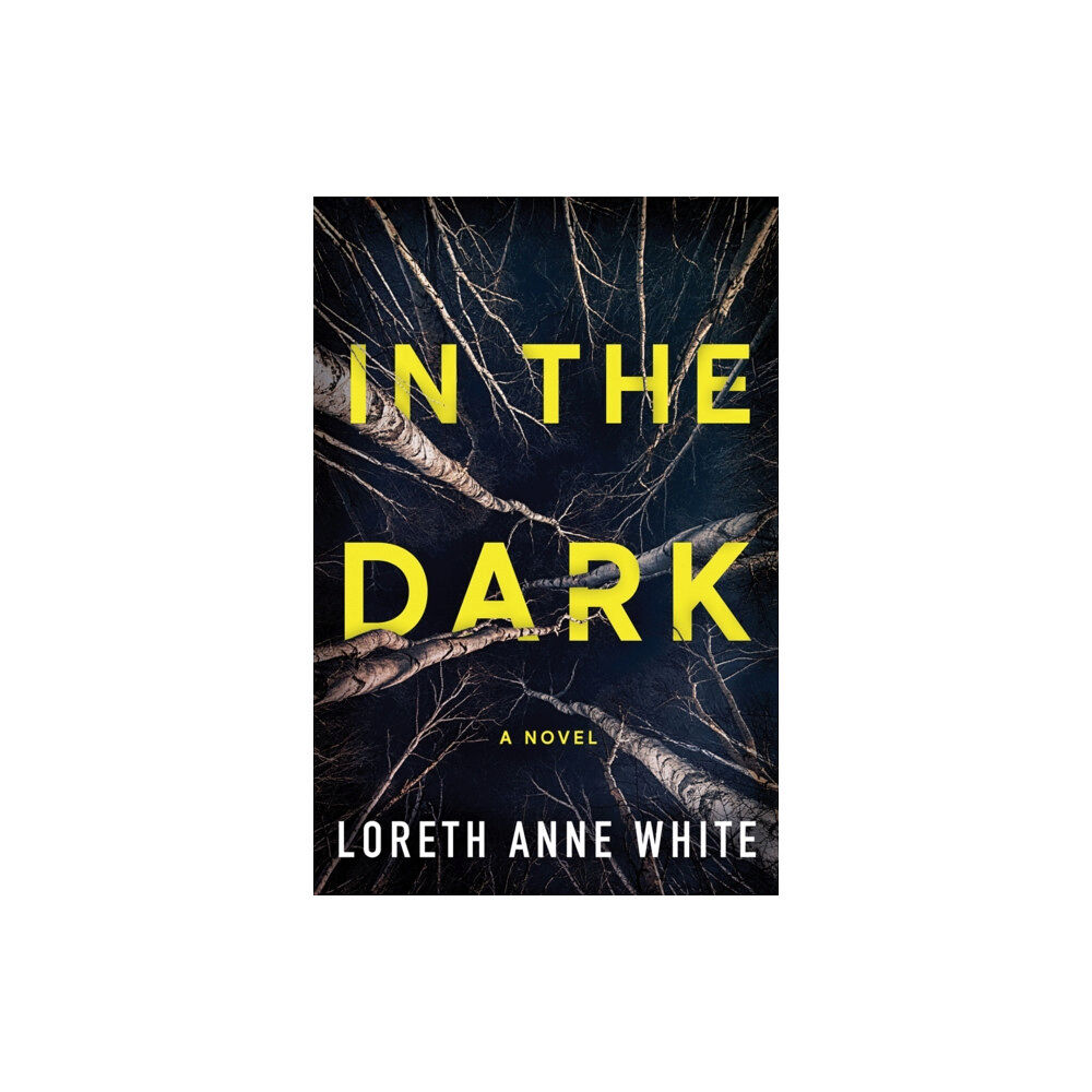 Amazon Publishing In the Dark (häftad, eng)