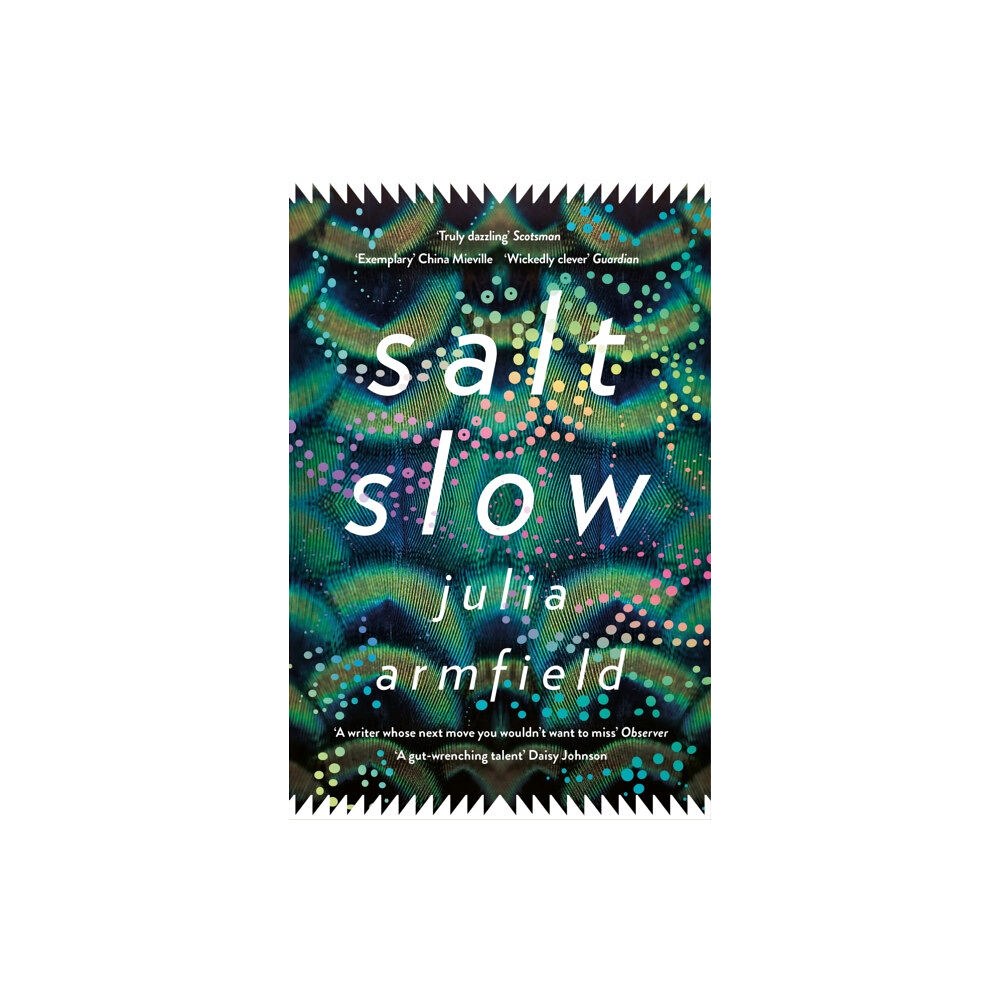 Pan Macmillan Salt Slow (häftad, eng)