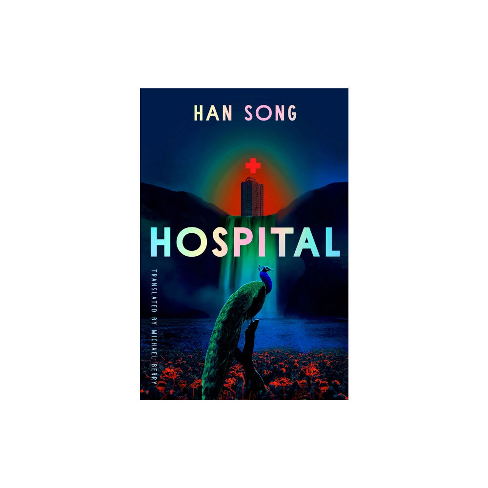 Amazon Publishing Hospital (häftad, eng)