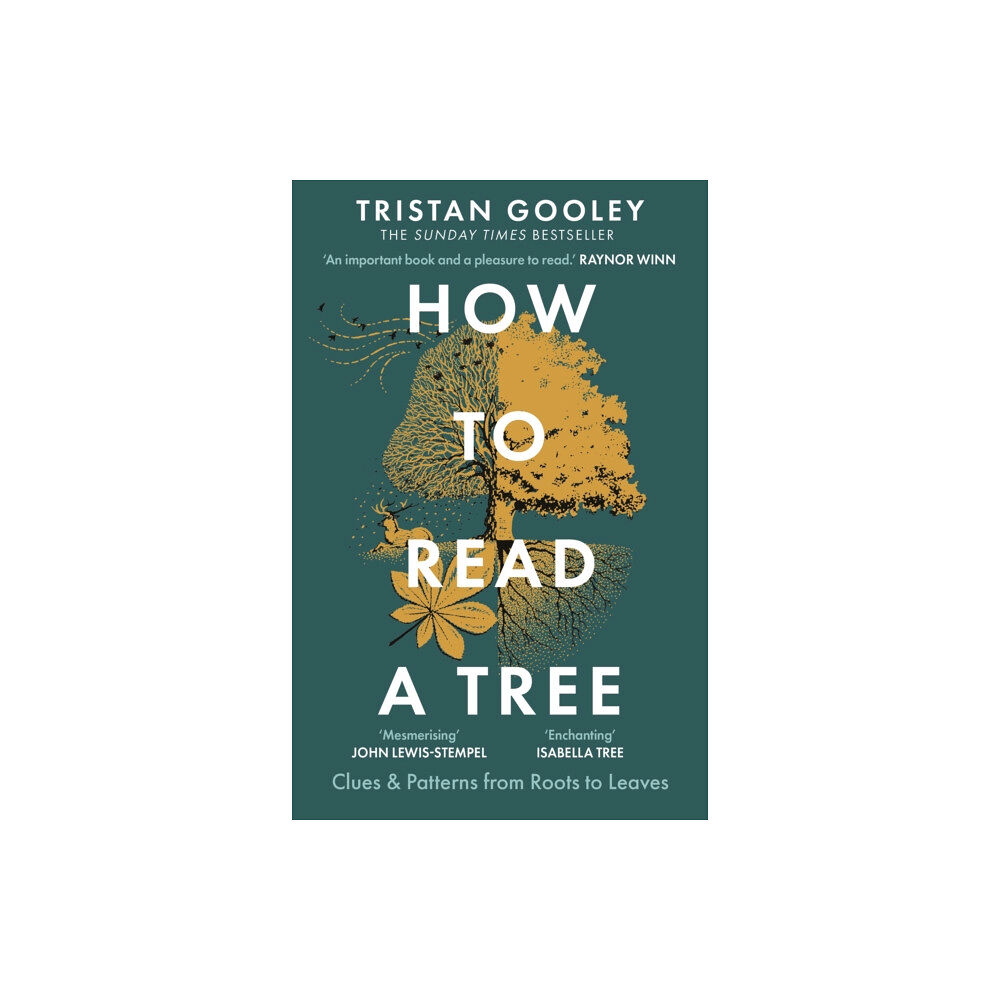 Hodder & Stoughton How to Read a Tree (häftad, eng)