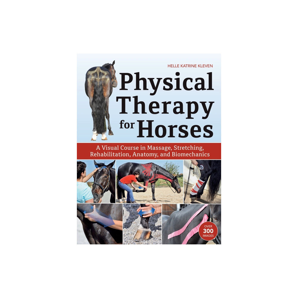 Trafalgar Square Physical Therapy for Horses (inbunden, eng)