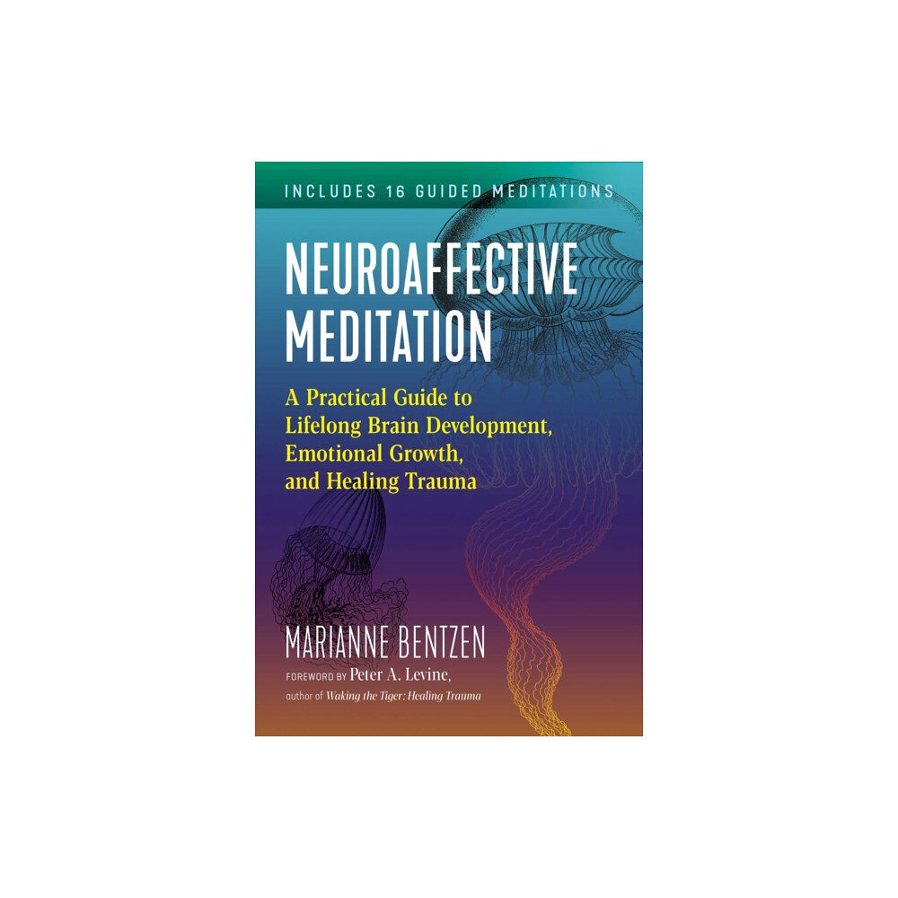 Inner Traditions Bear and Company Neuroaffective Meditation (häftad, eng)