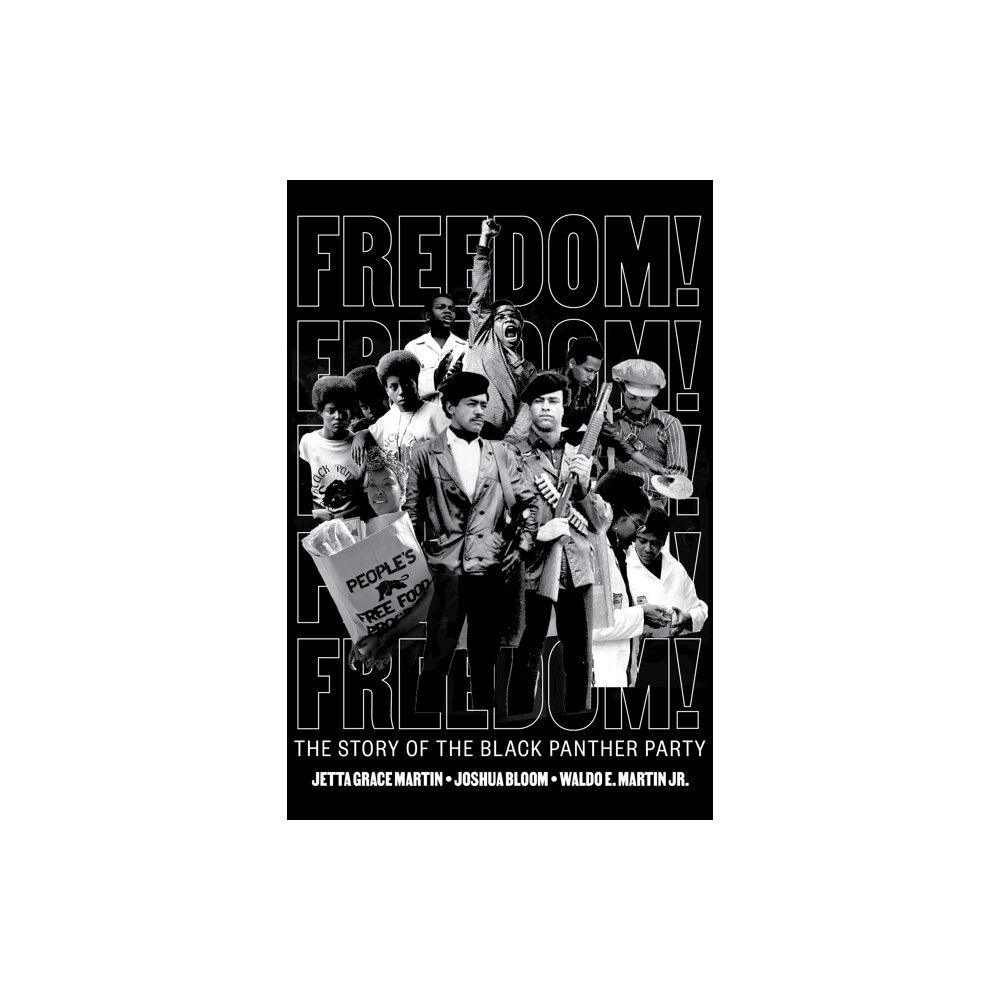 Levine Querido Freedom! The Story of the Black Panther Party (inbunden, eng)