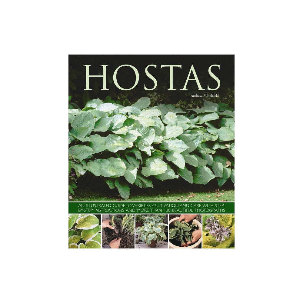 Anness publishing Hostas (häftad, eng)