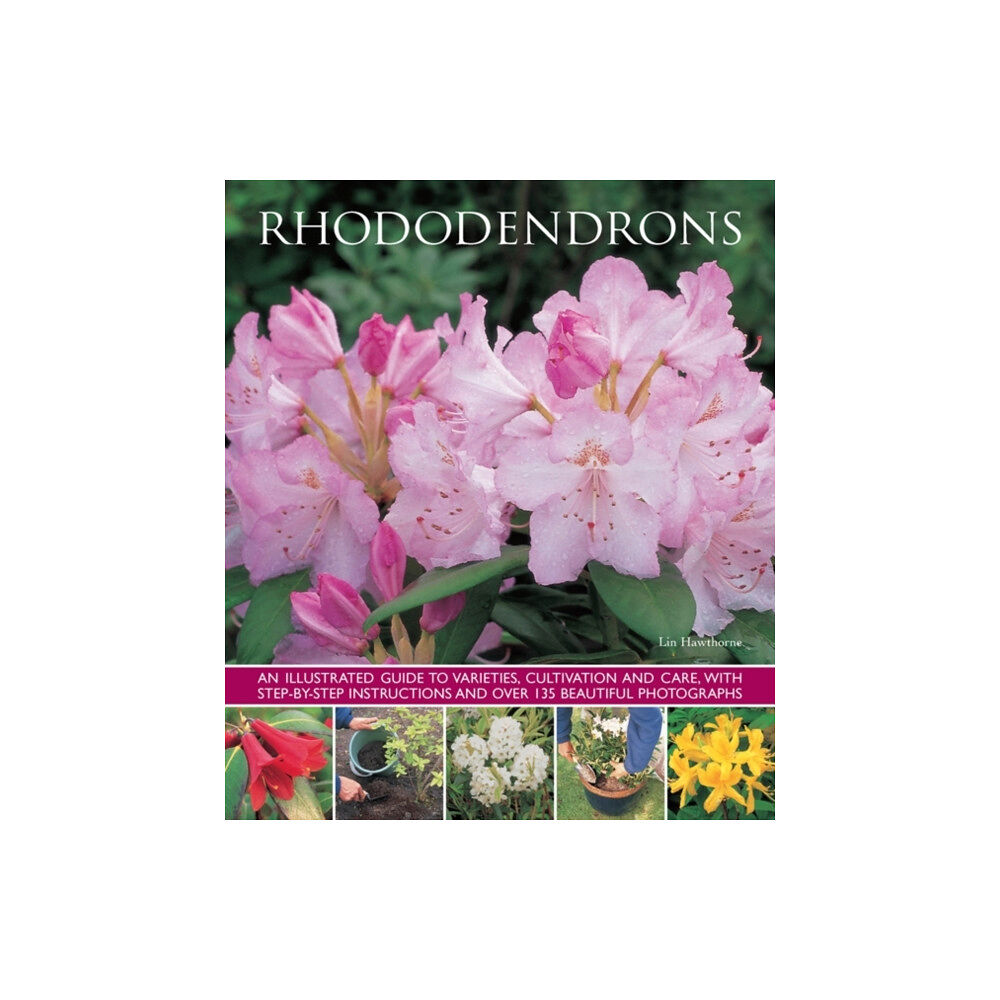 Anness publishing Rhododendrons (häftad, eng)