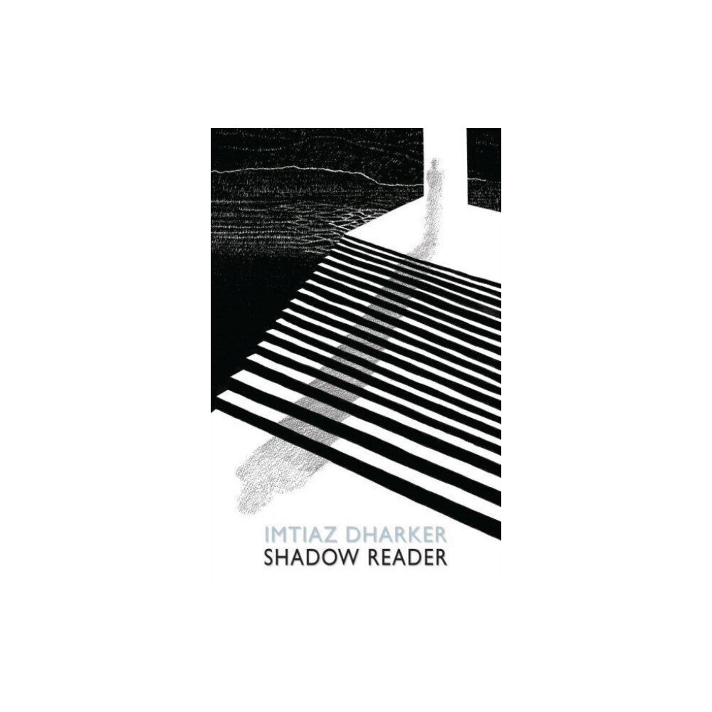 Bloodaxe Books Ltd Shadow Reader (häftad, eng)