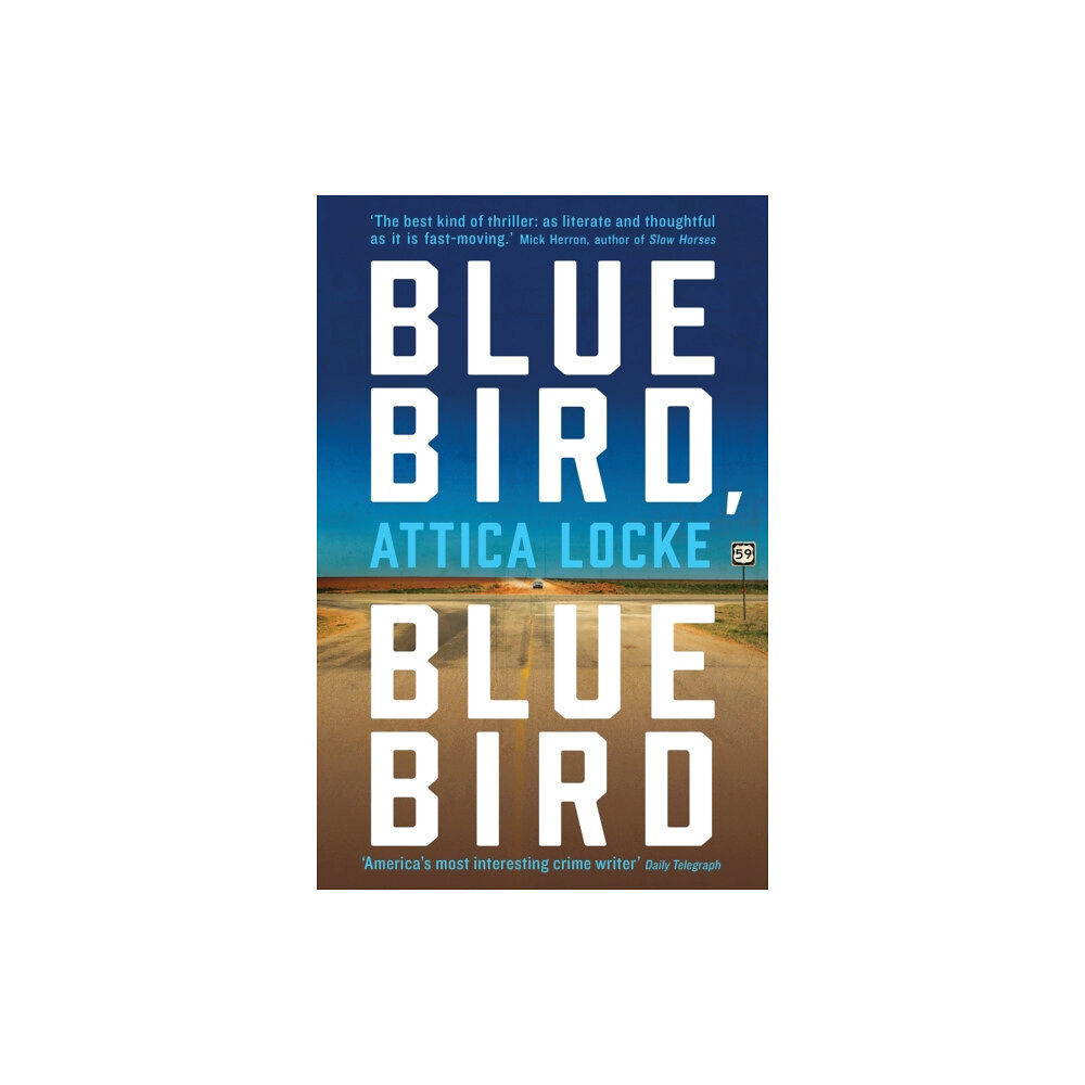 Profile Books Ltd Bluebird, Bluebird (häftad, eng)