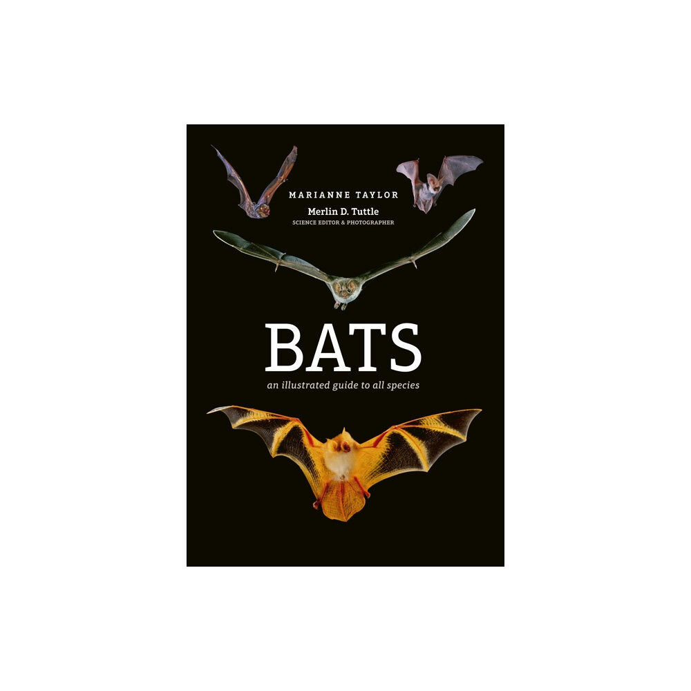 Quarto Publishing Plc Bats (inbunden, eng)