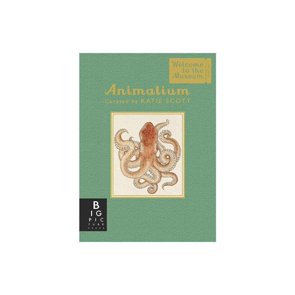 Templar Publishing Animalium (Mini Gift Edition) (inbunden, eng)