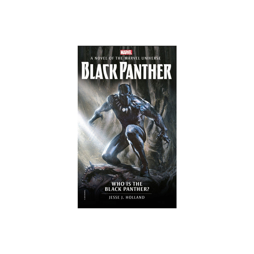 Titan Books Ltd Who is the Black Panther? (häftad, eng)