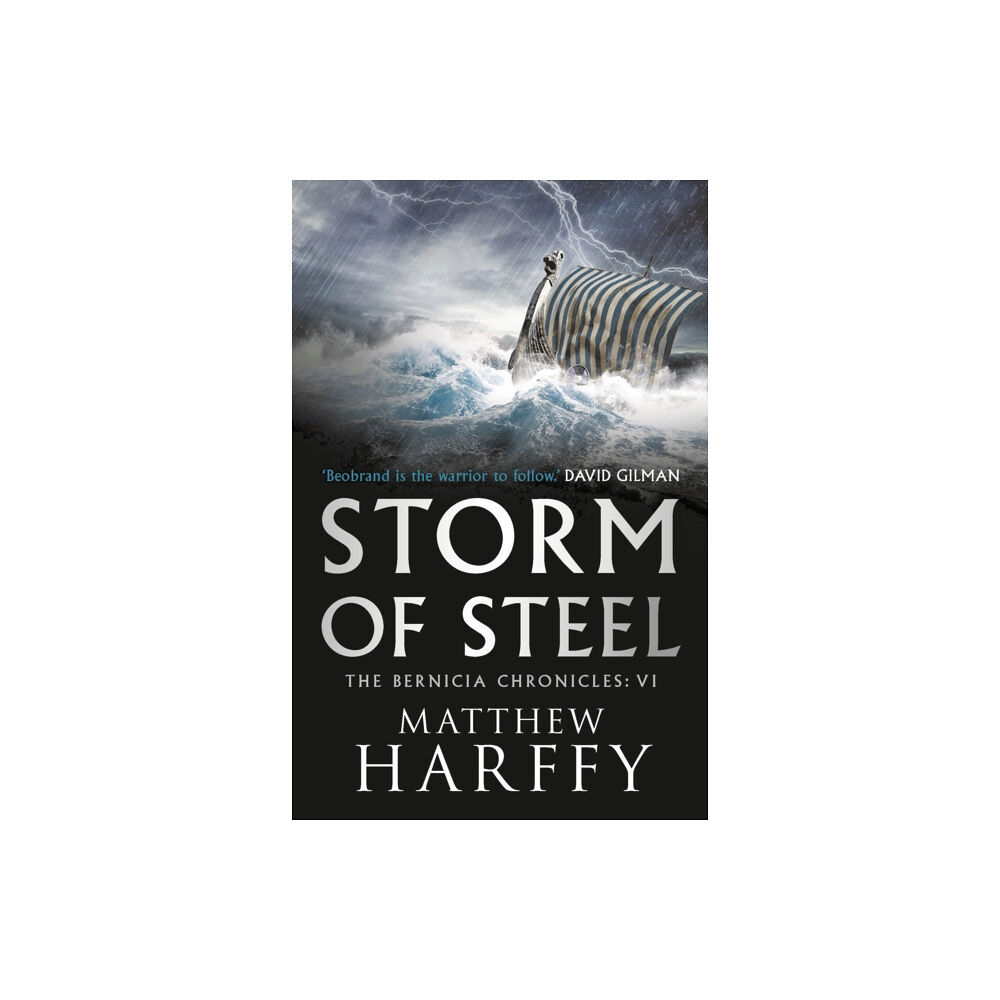 Bloomsbury Publishing PLC Storm of Steel (häftad, eng)