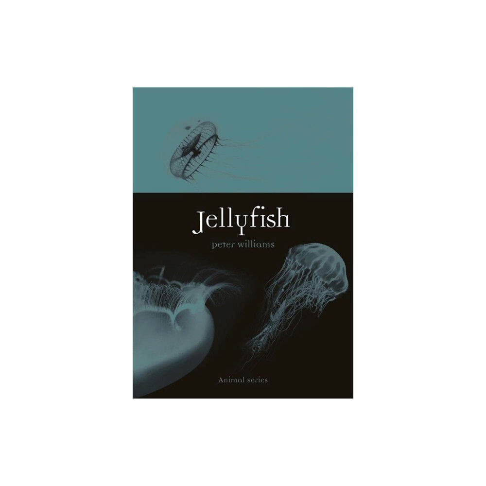 Reaktion Books Jellyfish (häftad, eng)