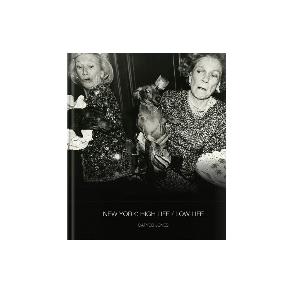 ACC Art Books New York: High Life / Low Life (inbunden, eng)