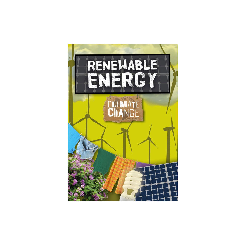 The Secret Book Company Renewable Energy (häftad, eng)