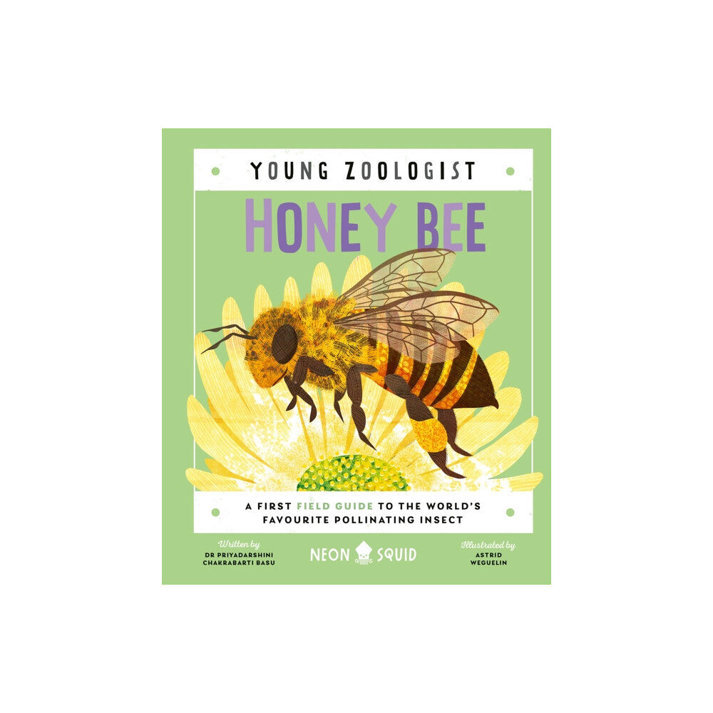 Pan Macmillan Honey Bee (Young Zoologist) (inbunden, eng)