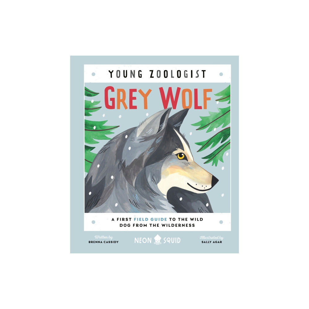 Pan Macmillan Grey Wolf (Young Zoologist) (inbunden, eng)