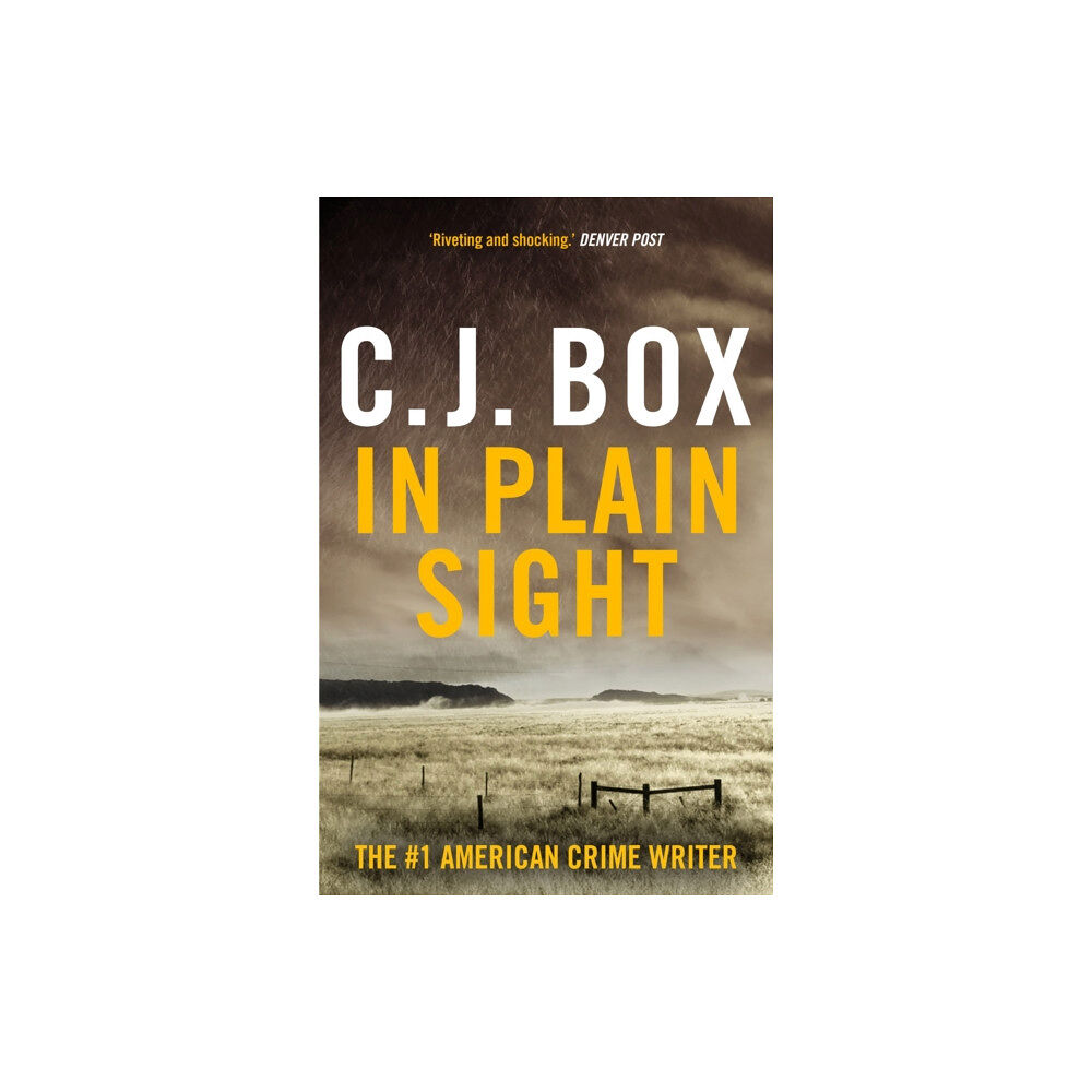 Bloomsbury Publishing PLC In Plain Sight (häftad, eng)