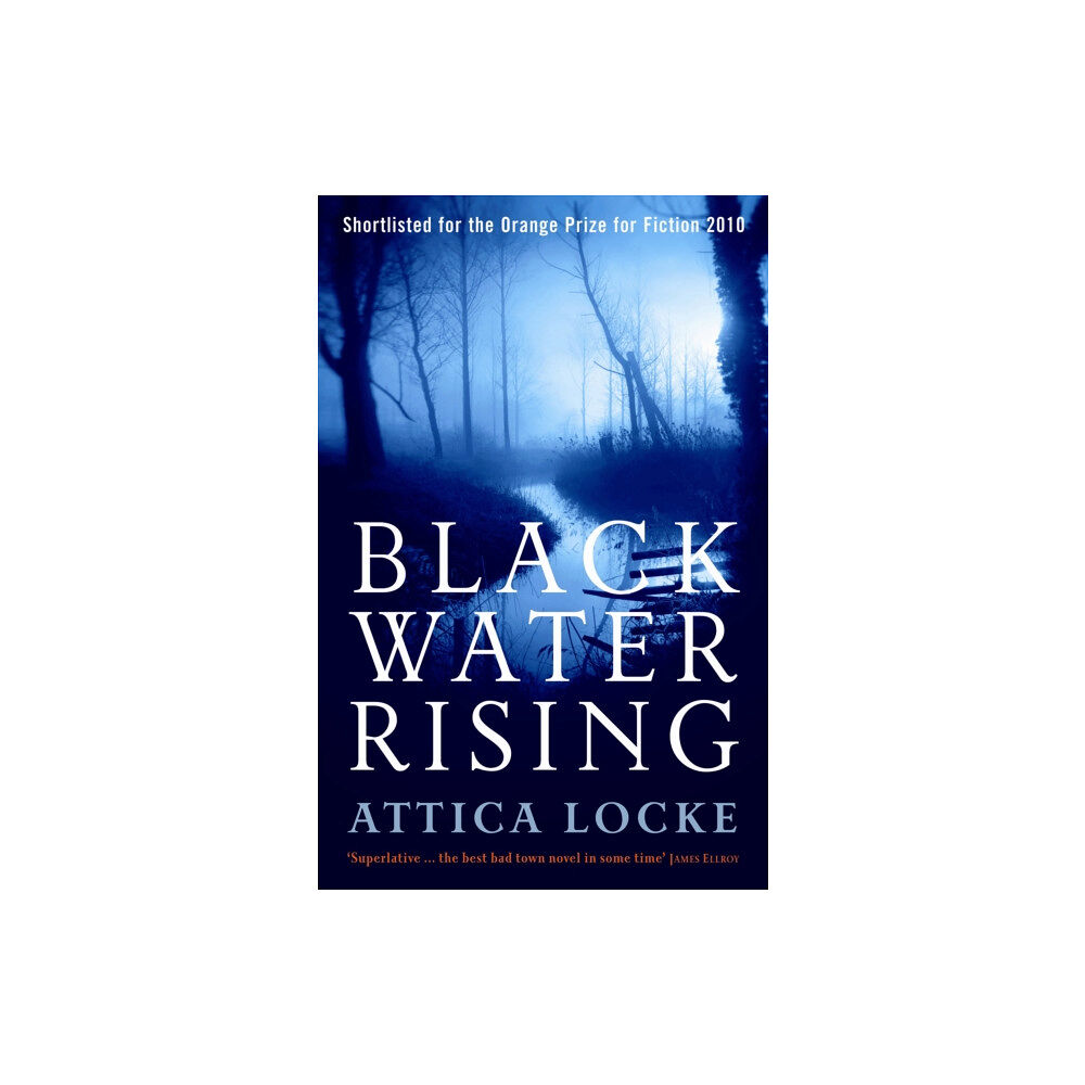 Profile Books Ltd Black Water Rising (häftad, eng)