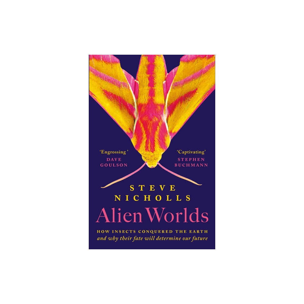 Bloomsbury Publishing PLC Planet Insect (häftad, eng)