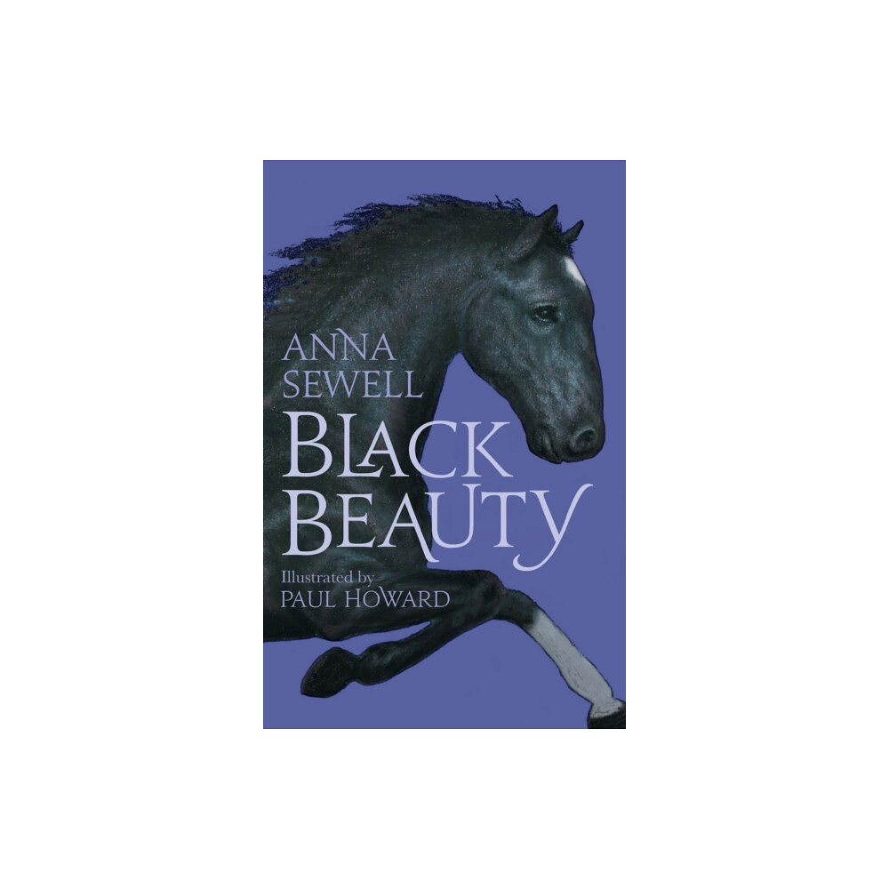 Alma Books Ltd Black Beauty (häftad, eng)