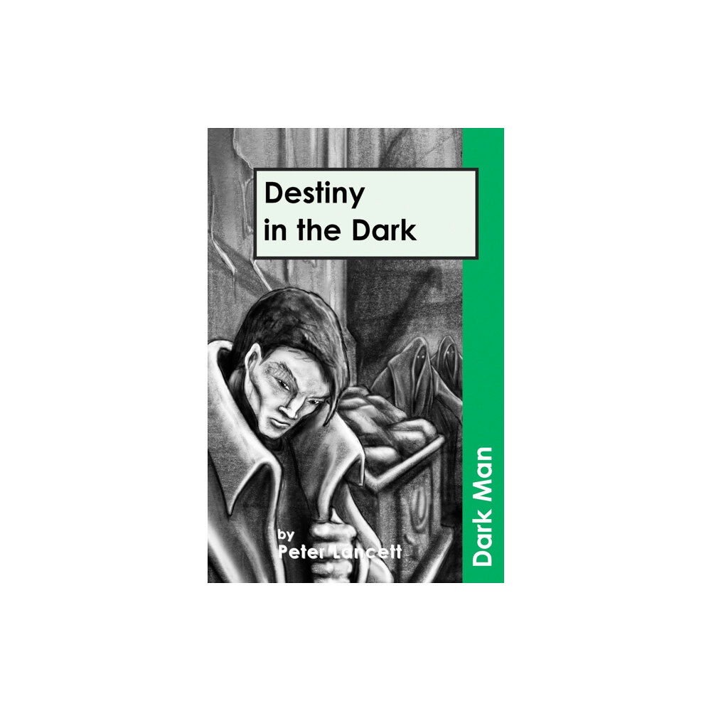 Ransom Publishing Destiny in the Dark (häftad, eng)