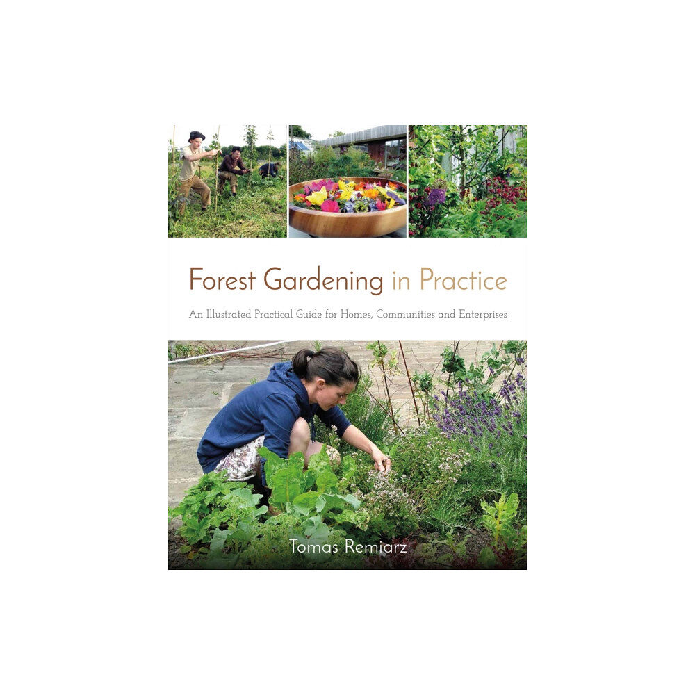 Permanent Publications Forest Gardening in Practice: An Illustrated Practical Guide for Homes, Communities and Enterprises (häftad, eng)