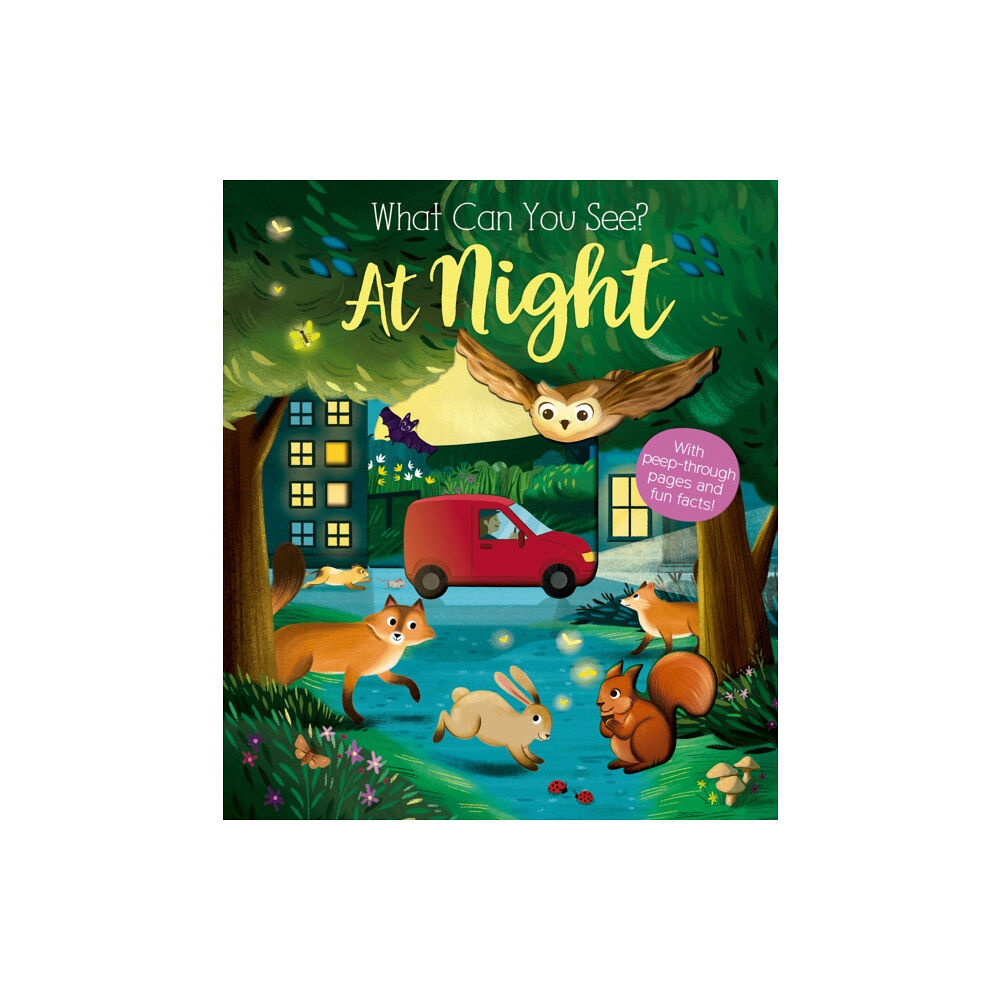 Little Tiger Press Group What Can You See At Night? (bok, board book, eng)