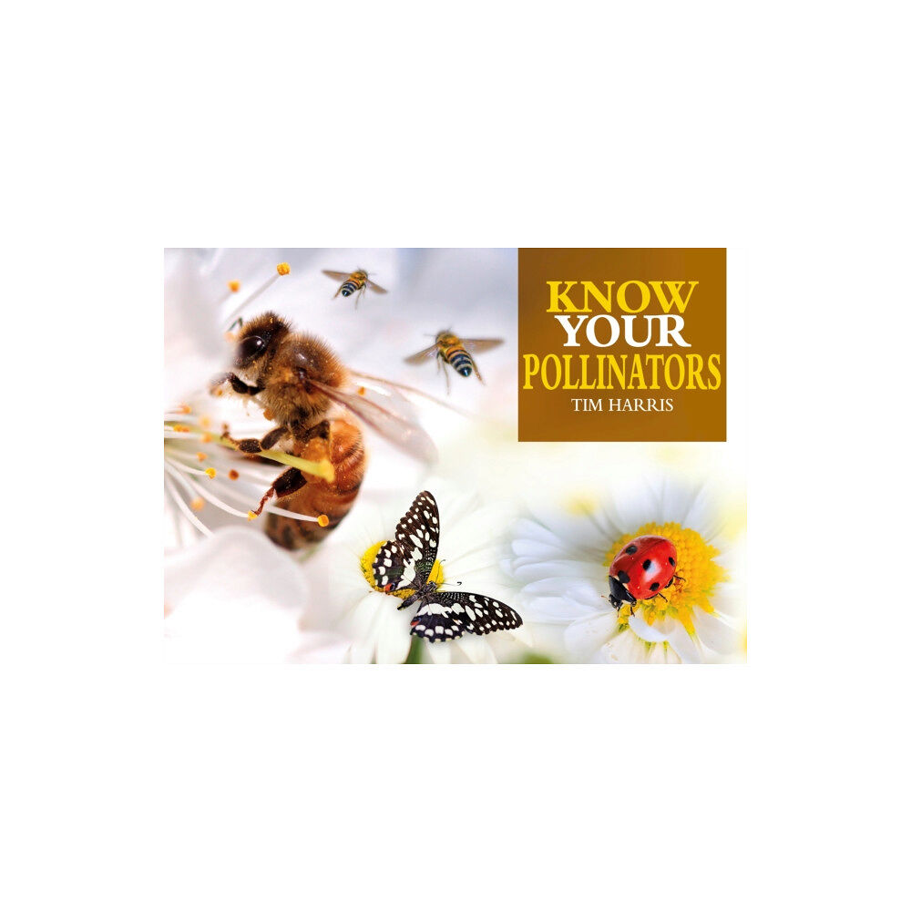 Fox Chapel Publishers International Know Your Pollinators (häftad, eng)