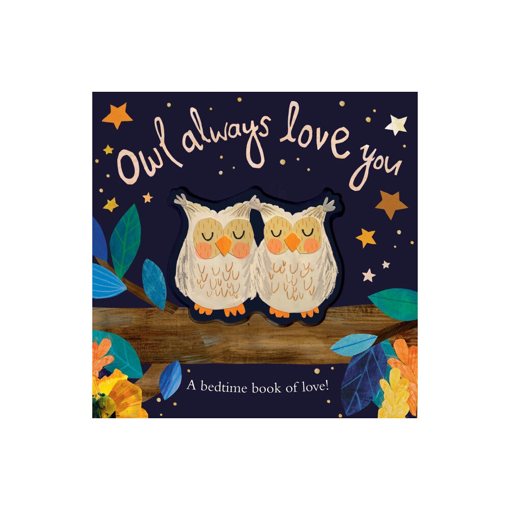 Little Tiger Press Group Owl Always Love You (bok, board book, eng)