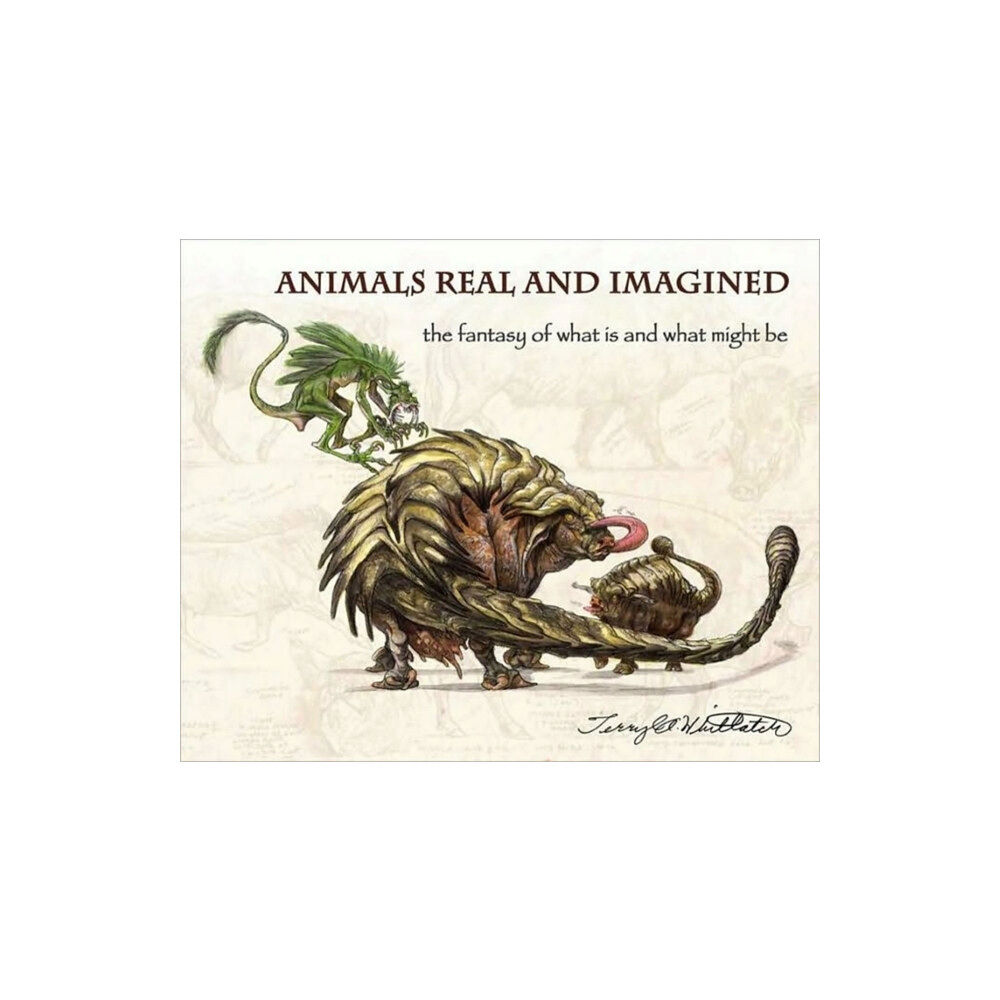 Design Studio Press Animals Real and Imagined (häftad, eng)