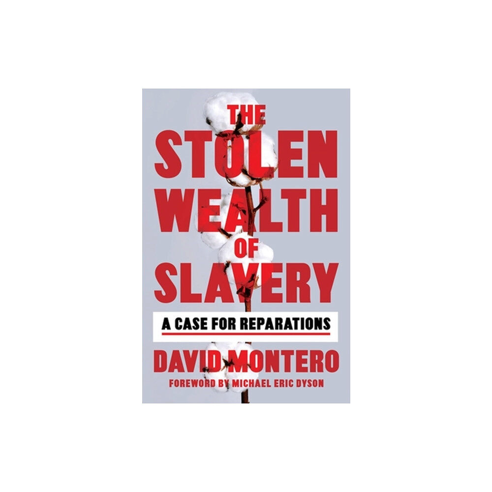 Hachette Books The Stolen Wealth of Slavery (inbunden, eng)